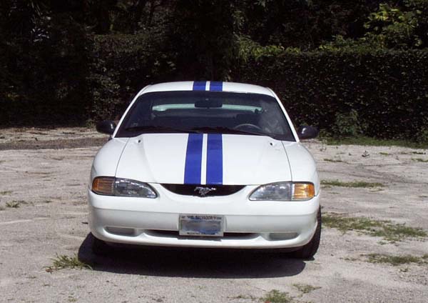 Leao's Mustang, front view